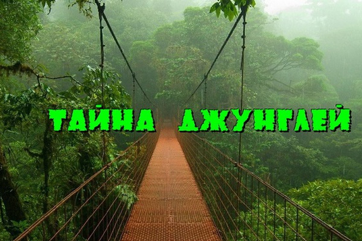 tajna-dzhunglej-74175
